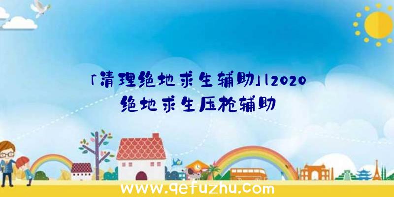 「清理绝地求生辅助」|2020绝地求生压枪辅助